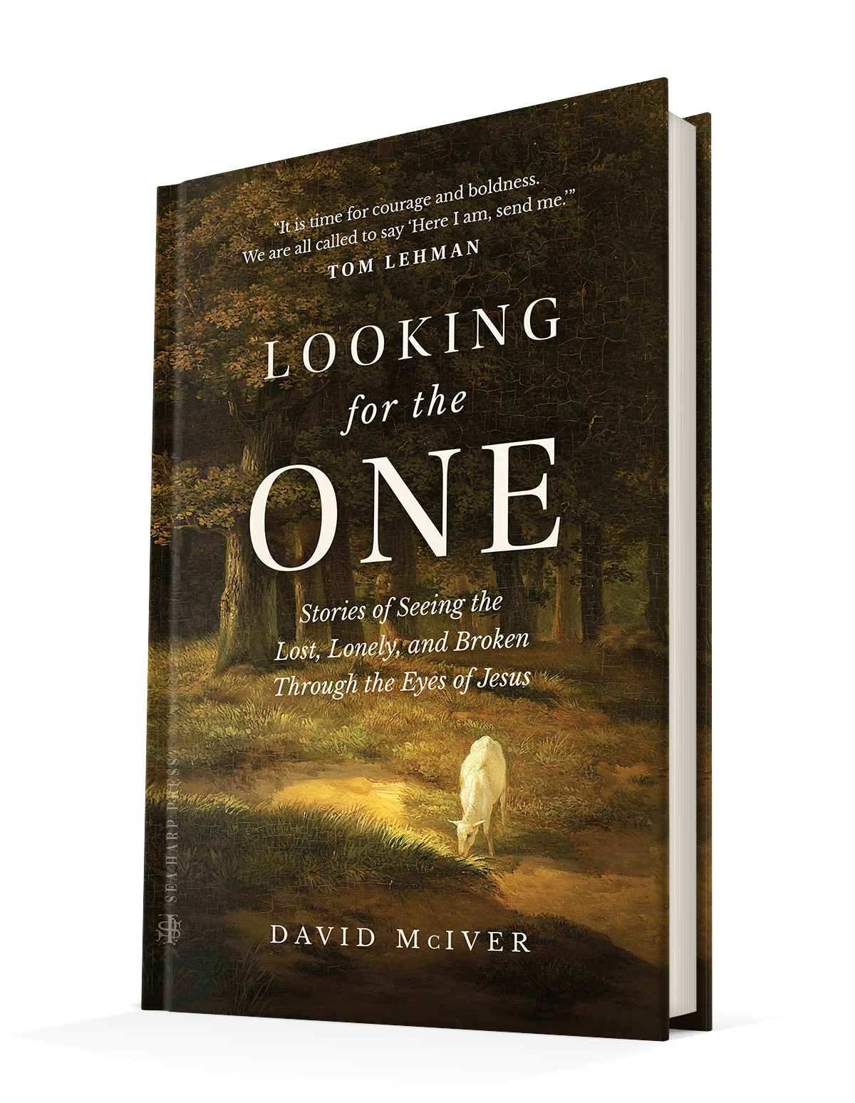 Looking for the One: Stories of Seeing the Lost, Lonely, and Broken Through the Eyes of Jesus Hardcover – May 23, 2023