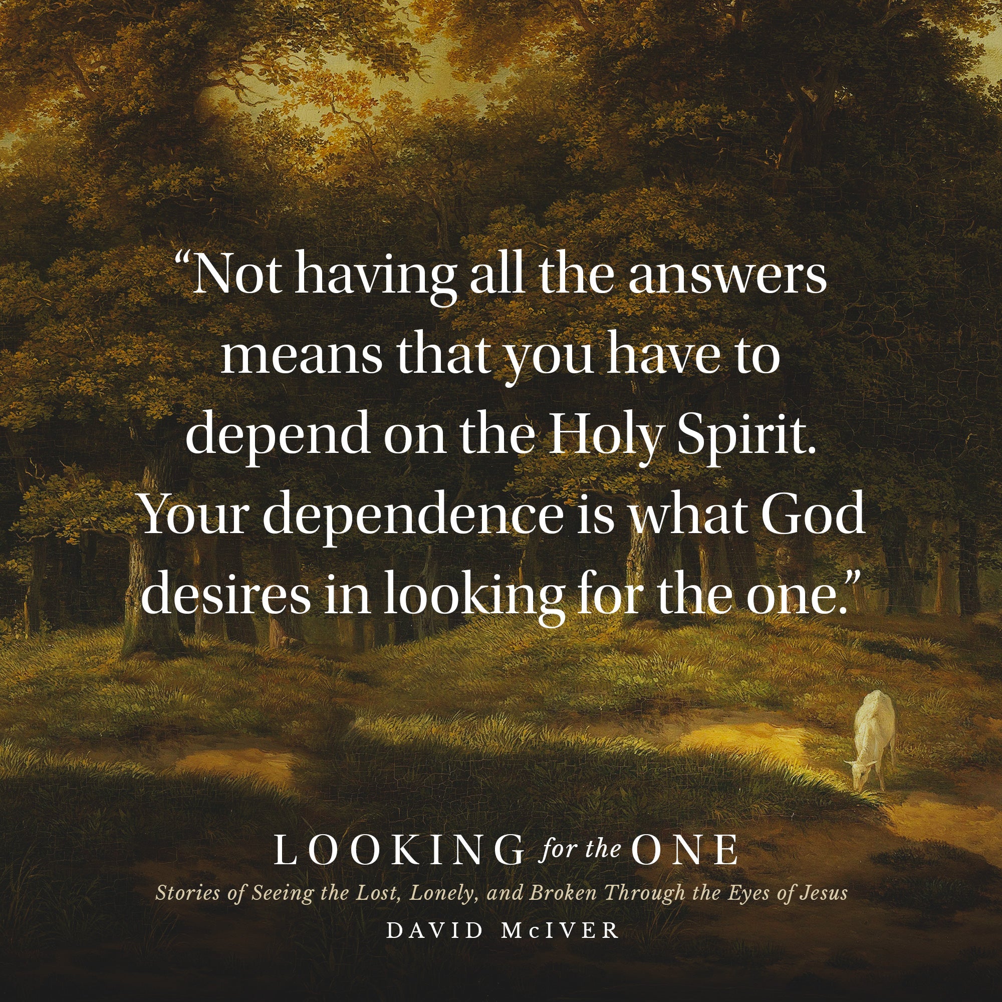 Looking for the One: Stories of Seeing the Lost, Lonely, and Broken Through the Eyes of Jesus Hardcover – May 23, 2023