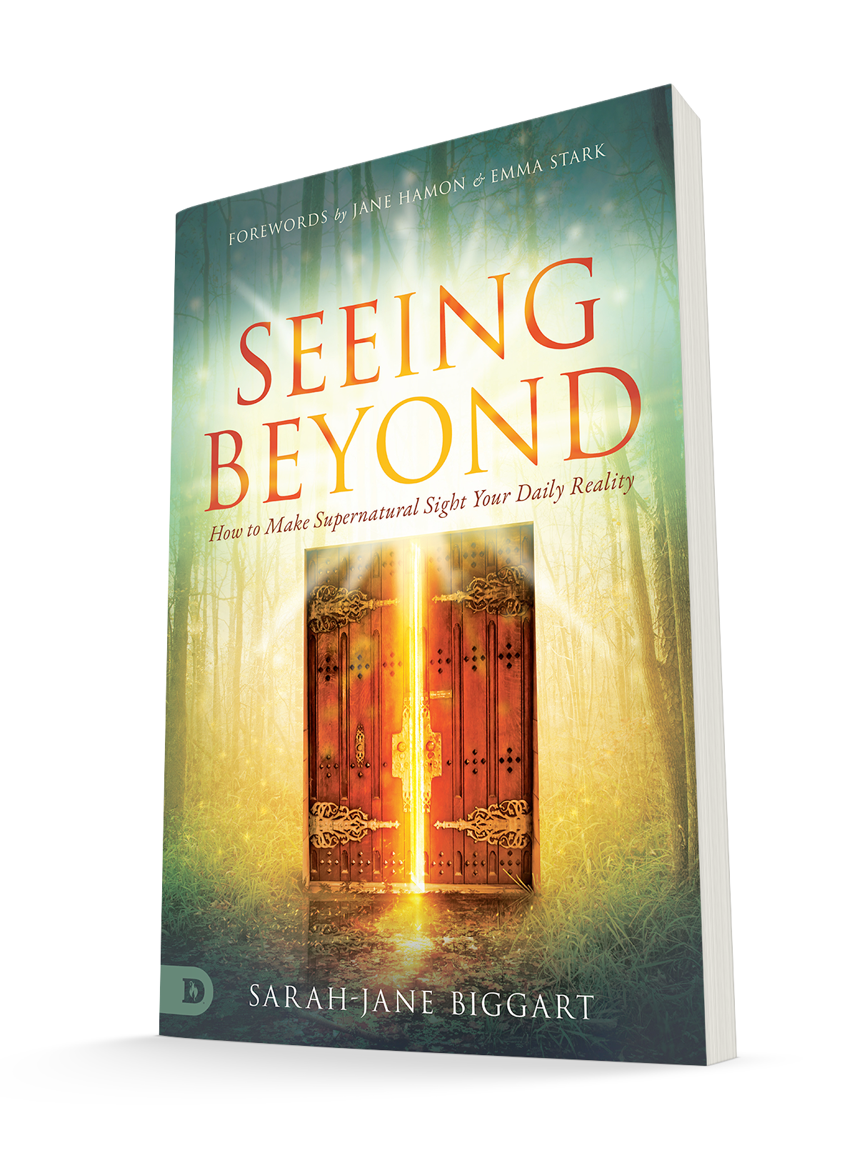 Seeing Beyond: How to Make Supernatural Sight Your Daily Reality Paperback – November 16, 2021