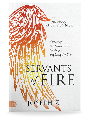 Servants of Fire: Secrets of the Unseen War and Angels Fighting For You Paperback – June 6, 2023