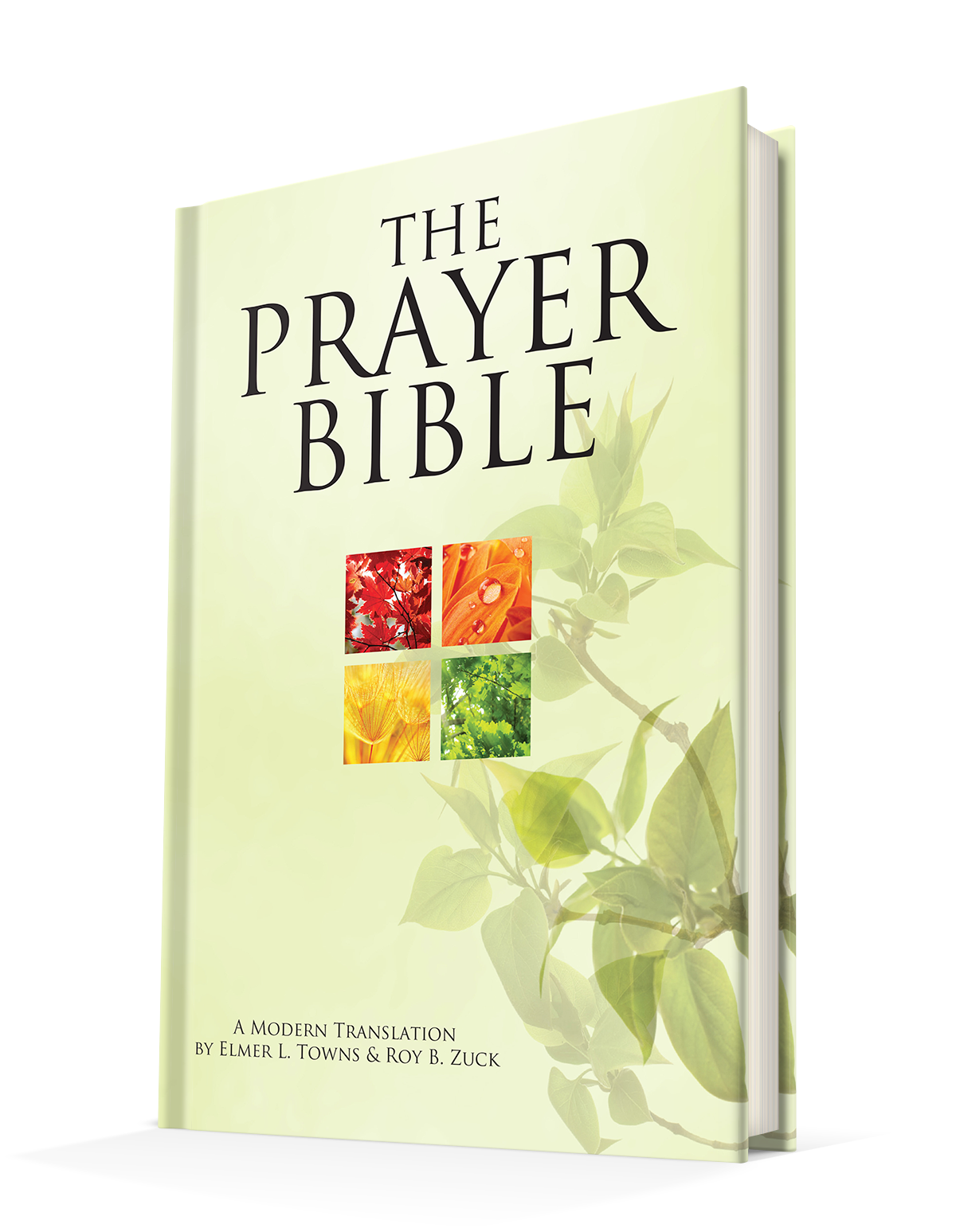 The Prayer Bible