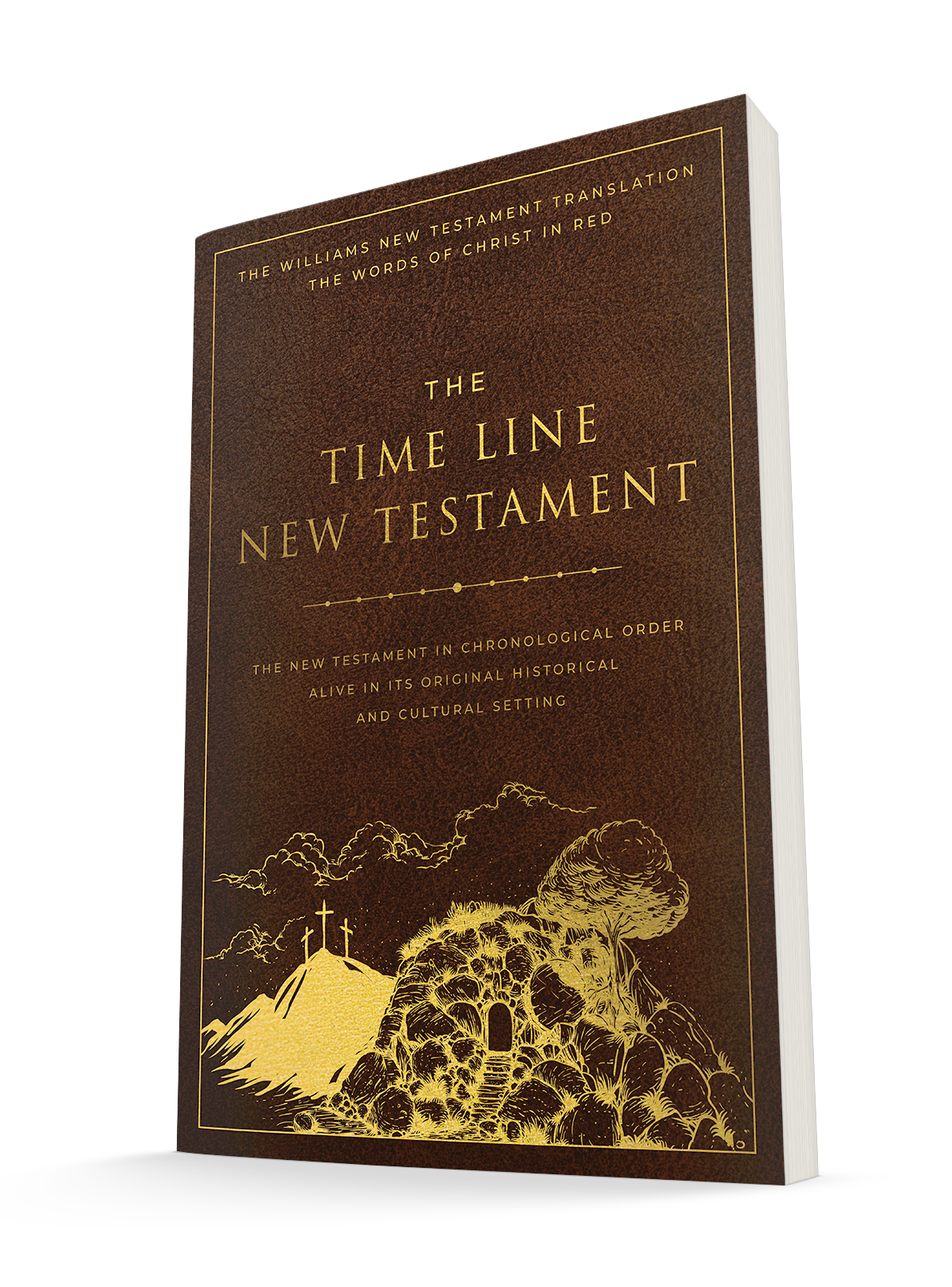 The Time Line New Testament Bible (2023) (Leather Look with Gold Foil Imprint and Gold Foil Pages) (Words of Christ in Red) (Full Color Interior and Maps) (Imitation Leather – January 17, 2023)