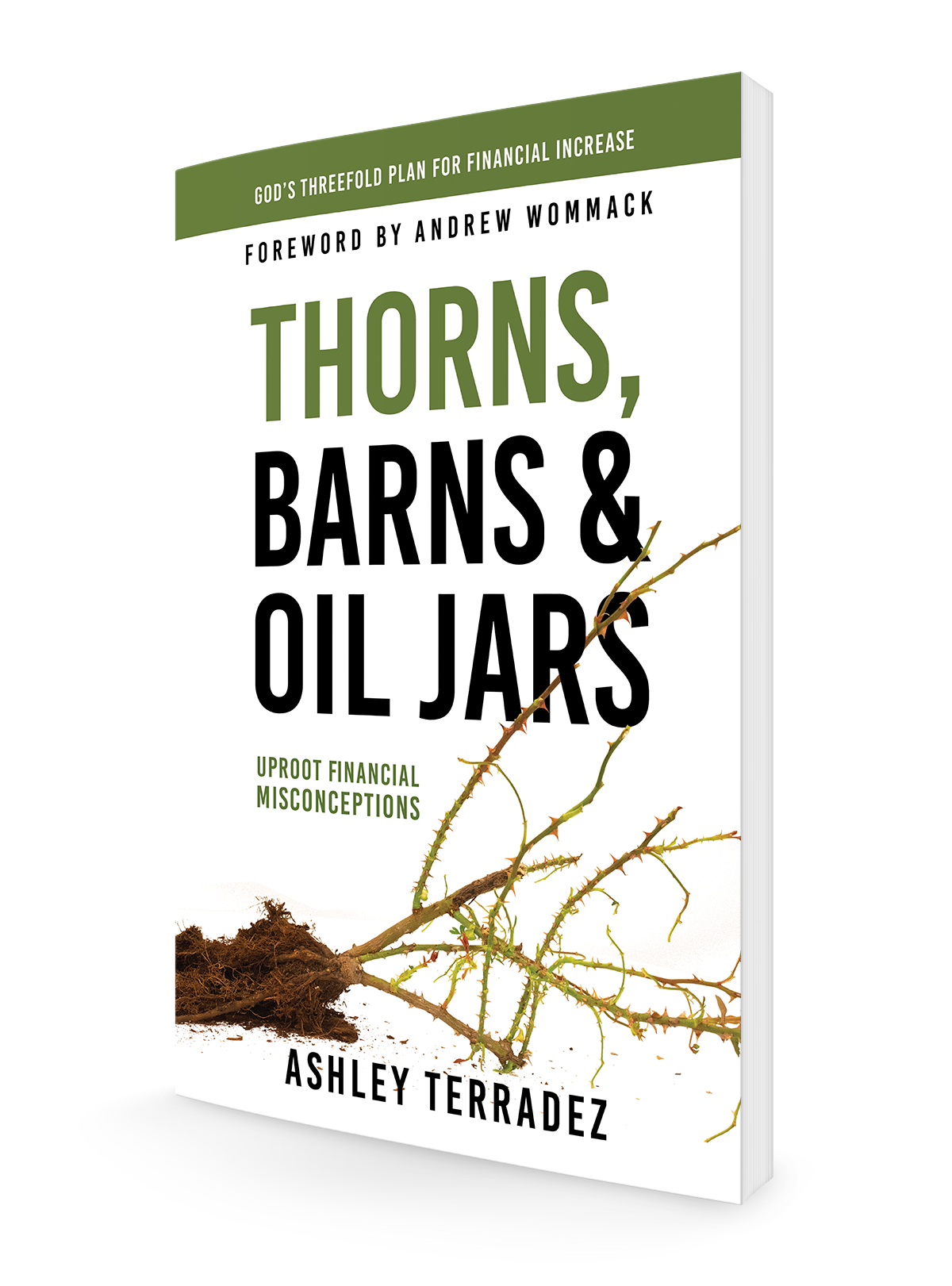 Thorns, Barns, and Oil Jars: God's Threefold Plan for Your Financial Increase Paperback – September 21, 2021