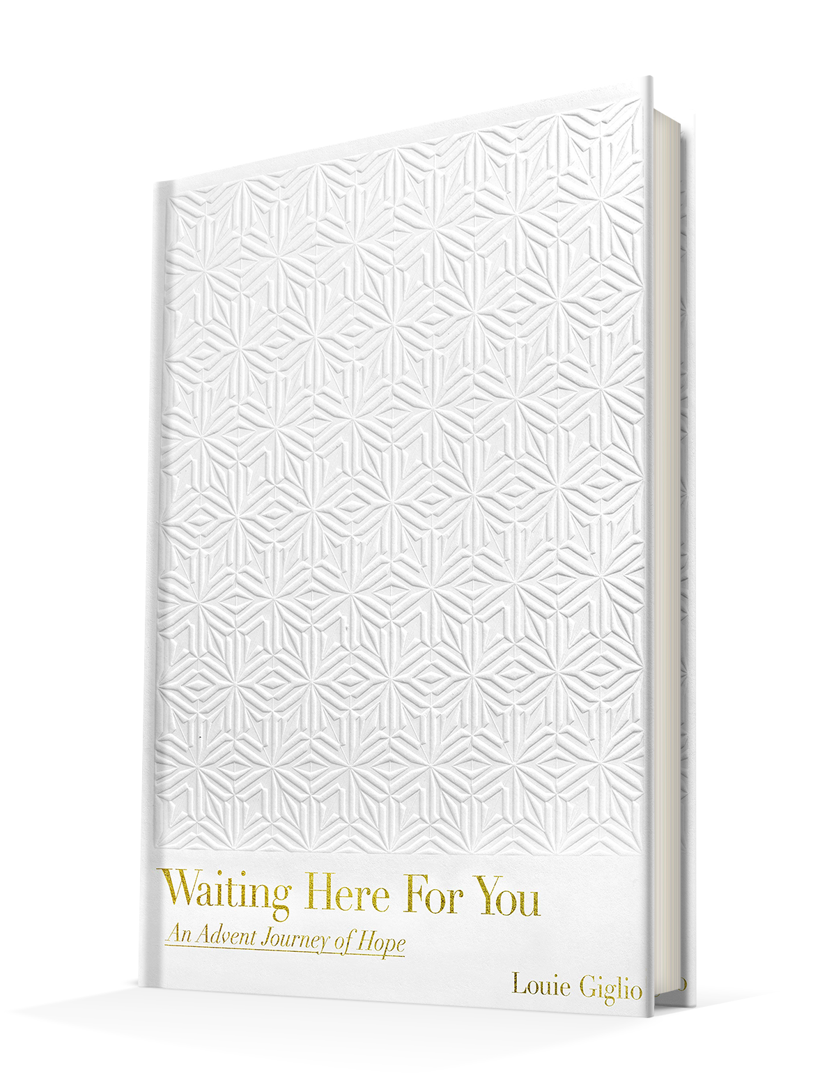 Waiting Here For You: An Advent Journey of Hope Hardcover – October 20, 2020
