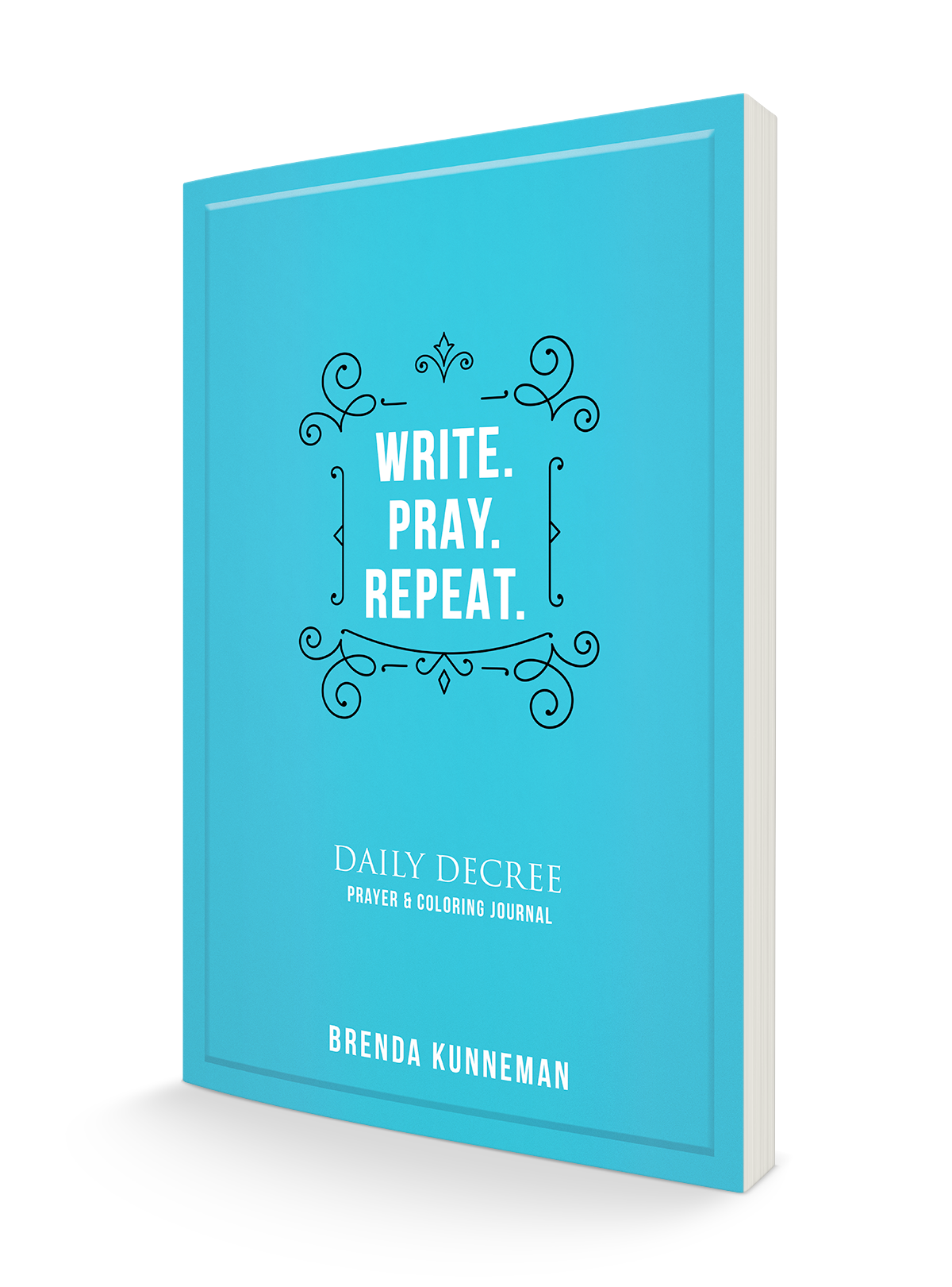 Write. Pray. Repeat.: An Interactive Journal for Writing Your Own Biblical Declarations Paperback – July 11, 2023