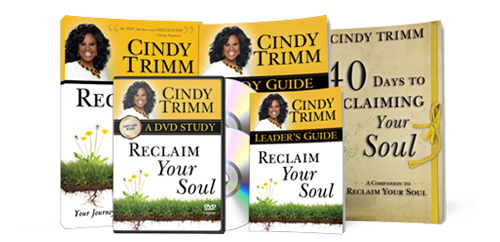 Reclaim Your Soul Large Group Study Kit