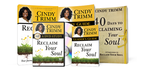 Reclaim Your Soul Large Group Study Kit