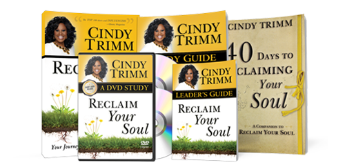 Reclaim Your Soul Small Group Study Kit