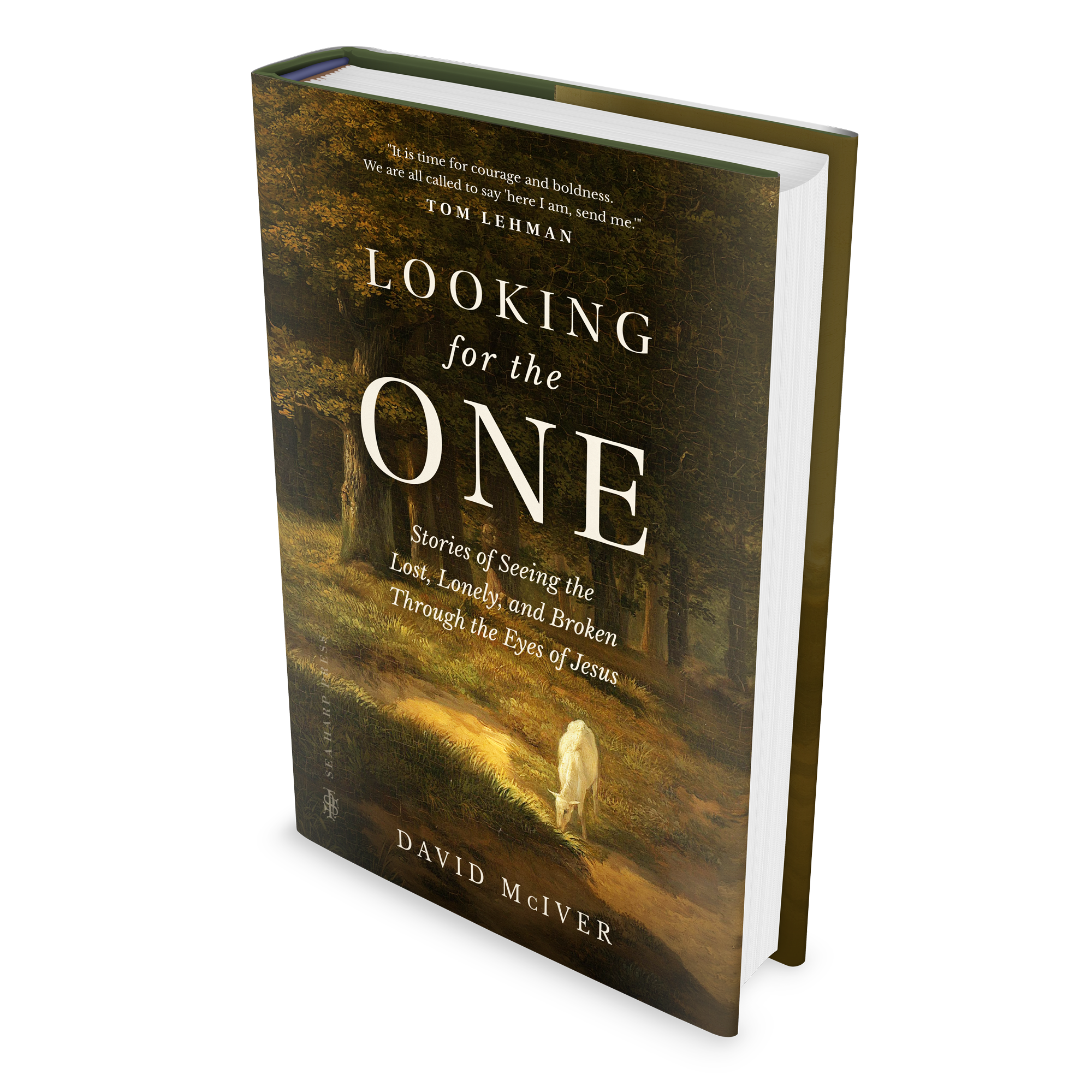 Looking for the One: Stories of Seeing the Lost, Lonely, and Broken Through the Eyes of Jesus Hardcover – May 23, 2023